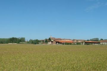 Badia di Dulzago - Vista Campi di Riso