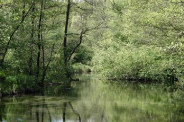 Oasi WWF - Specchio d'acqua