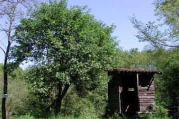 Oasi WWF - Capanno di Avvistamento